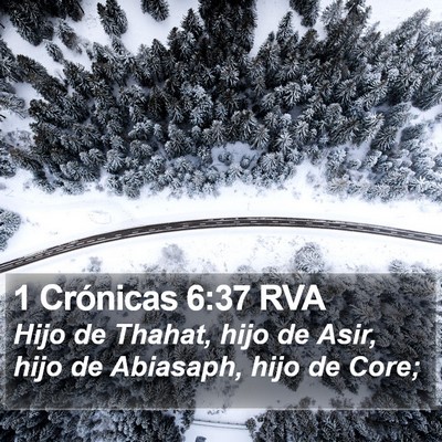 1 Crónicas 6:37 RVA Bible Verse Image