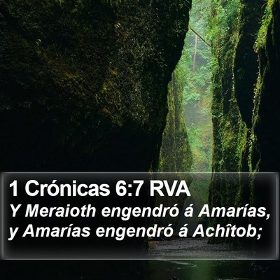 1 Crónicas 6:7 RVA Bible Verse Image