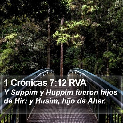 1 Crónicas 7:12 RVA Bible Verse Image