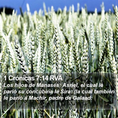 1 Crónicas 7:14 RVA Bible Verse Image