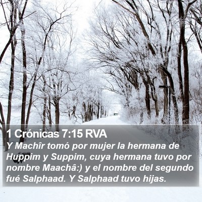 1 Crónicas 7:15 RVA Bible Verse Image