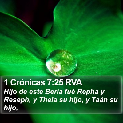1 Crónicas 7:25 RVA Bible Verse Image