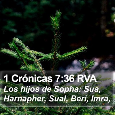 1 Crónicas 7:36 RVA Bible Verse Image