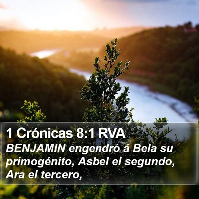 1 Crónicas 8:1 RVA Bible Verse Image