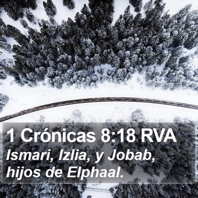 1 Crónicas 8:18 RVA Bible Verse Image