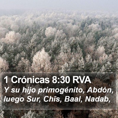 1 Crónicas 8:30 RVA Bible Verse Image