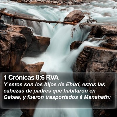 1 Crónicas 8:6 RVA Bible Verse Image