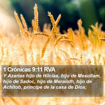 1 Crónicas 9:11 RVA Bible Verse Image