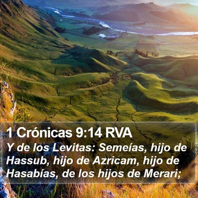 1 Crónicas 9:14 RVA Bible Verse Image