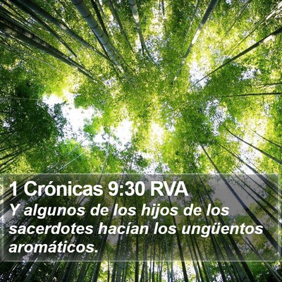 1 Crónicas 9:30 RVA Bible Verse Image