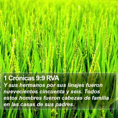 1 Crónicas 9:9 RVA Bible Verse Image