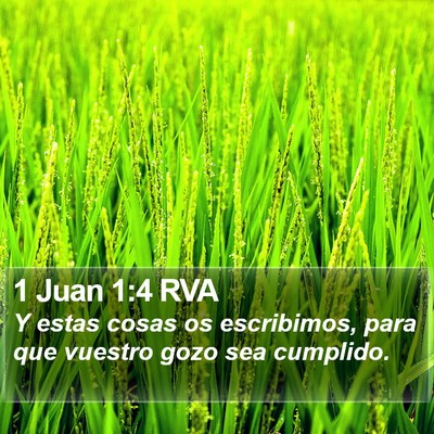 1 Juan 1:4 RVA Bible Verse Image
