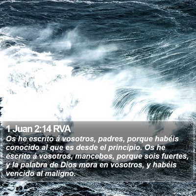 1 Juan 2:14 RVA Bible Verse Image