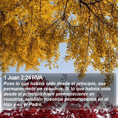 1 Juan 2:24 RVA Bible Verse Image