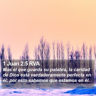 1 Juan 2:5 RVA Bible Verse Image