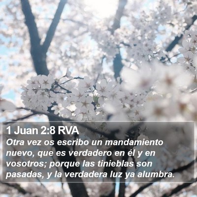 1 Juan 2:8 RVA Bible Verse Image