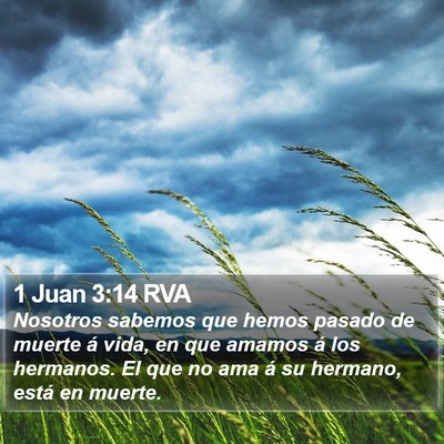 1 Juan 3:14 RVA Bible Verse Image