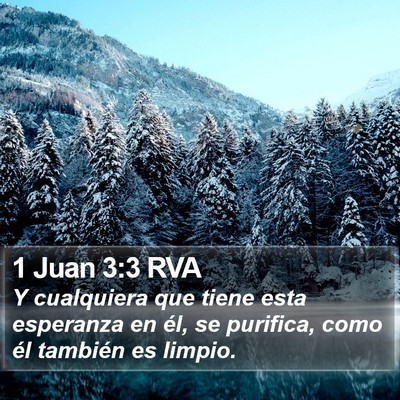 1 Juan 3:3 RVA Bible Verse Image