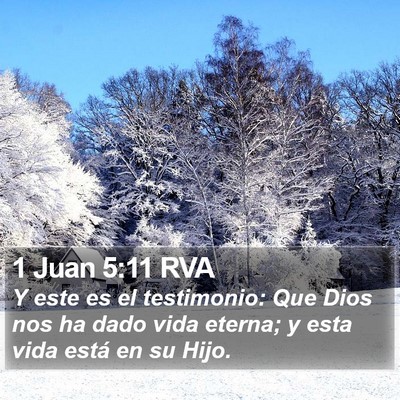 1 Juan 5:11 RVA Bible Verse Image