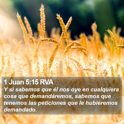 1 Juan 5:15 RVA Bible Verse Image