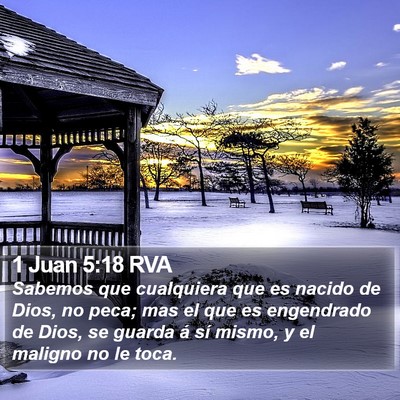 1 Juan 5:18 RVA Bible Verse Image