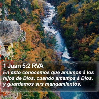 1 Juan 5:2 RVA Bible Verse Image
