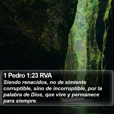 1 Pedro 1:23 RVA Bible Verse Image