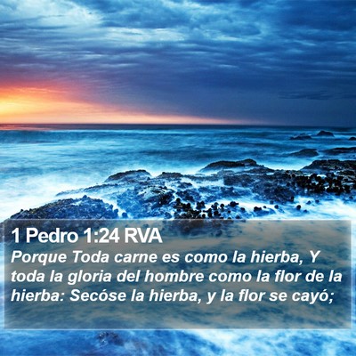 1 Pedro 1:24 RVA Bible Verse Image