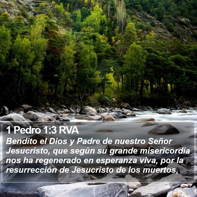 1 Pedro 1:3 RVA Bible Verse Image