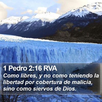 1 Pedro 2:16 RVA Bible Verse Image