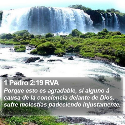 1 Pedro 2:19 RVA Bible Verse Image