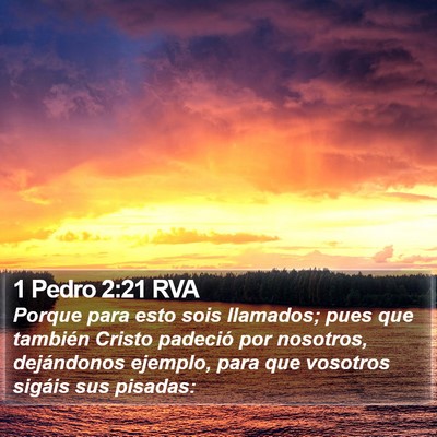 1 Pedro 2:21 RVA Bible Verse Image