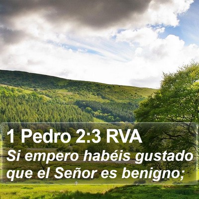 1 Pedro 2:3 RVA Bible Verse Image