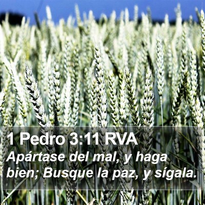 1 Pedro 3:11 RVA Bible Verse Image