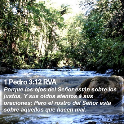 1 Pedro 3:12 RVA Bible Verse Image