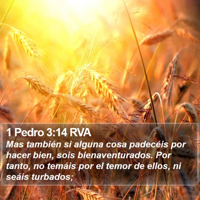 1 Pedro 3:14 RVA Bible Verse Image