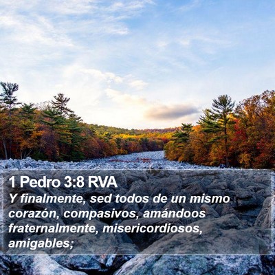 1 Pedro 3:8 RVA Bible Verse Image