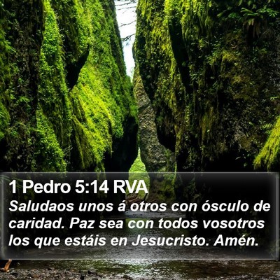 1 Pedro 5:14 RVA Bible Verse Image
