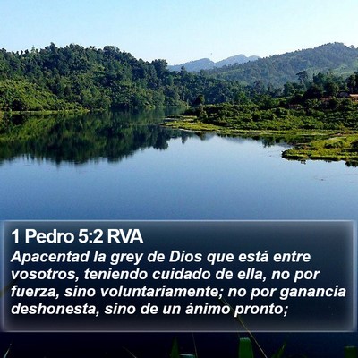 1 Pedro 5:2 RVA Bible Verse Image