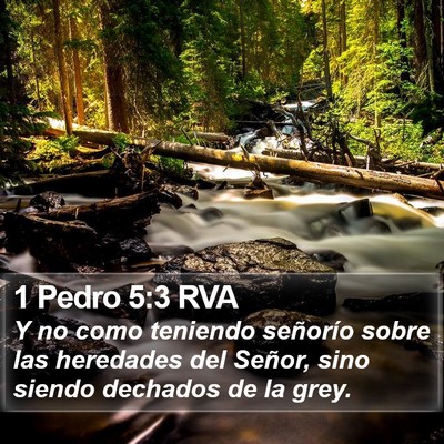 1 Pedro 5:3 RVA Bible Verse Image