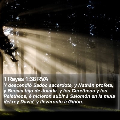 1 Reyes 1:38 RVA Bible Verse Image