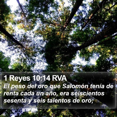 1 Reyes 10:14 RVA Bible Verse Image