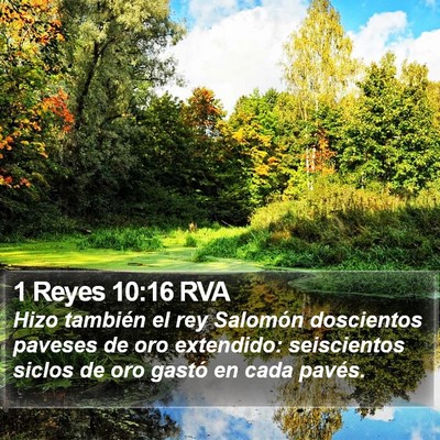 1 Reyes 10:16 RVA Bible Verse Image