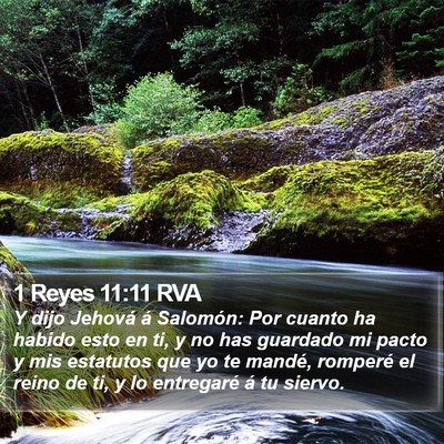 1 Reyes 11:11 RVA Bible Verse Image