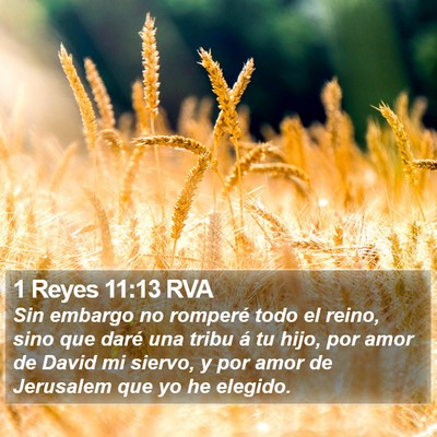 1 Reyes 11:13 RVA Bible Verse Image