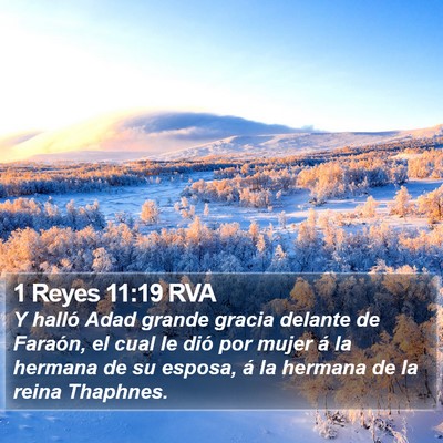 1 Reyes 11:19 RVA Bible Verse Image