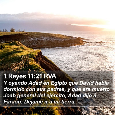 1 Reyes 11:21 RVA Bible Verse Image