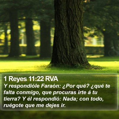 1 Reyes 11:22 RVA Bible Verse Image