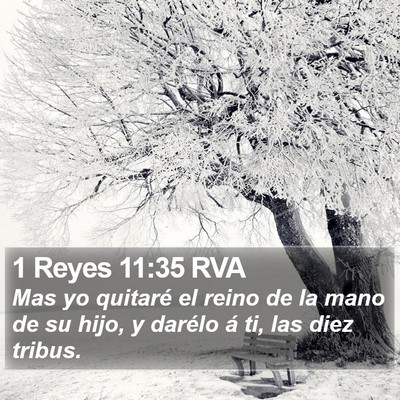 1 Reyes 11:35 RVA Bible Verse Image