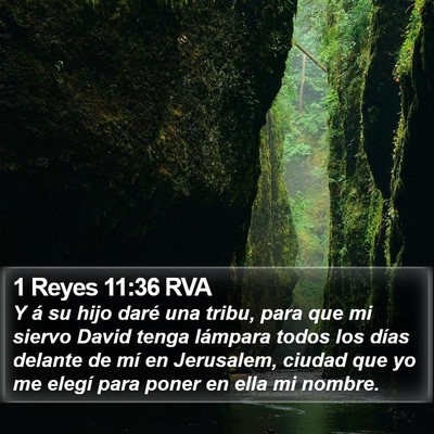 1 Reyes 11:36 RVA Bible Verse Image